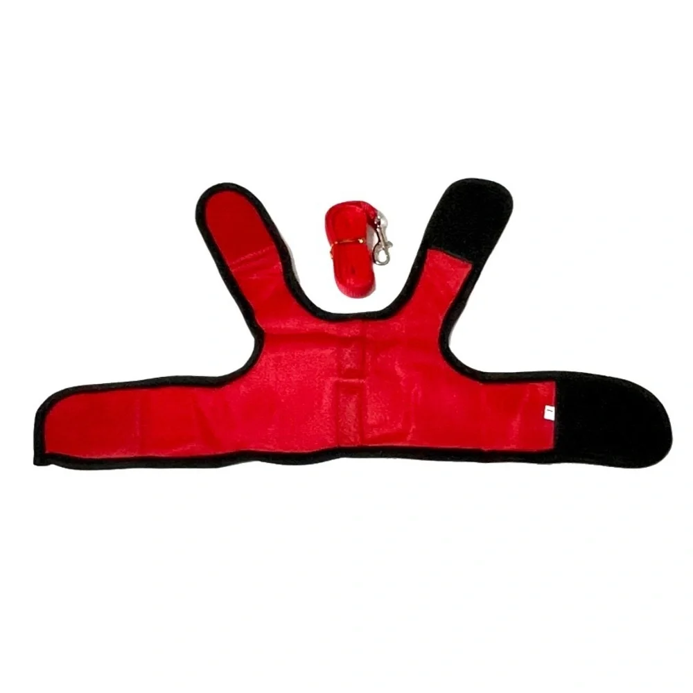 Red and black all-weather padded mesh cat harness w/ bell & leash 2 pc set NWT